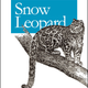 Illustration for article titled Snow Leopard Box Redesign Gallery